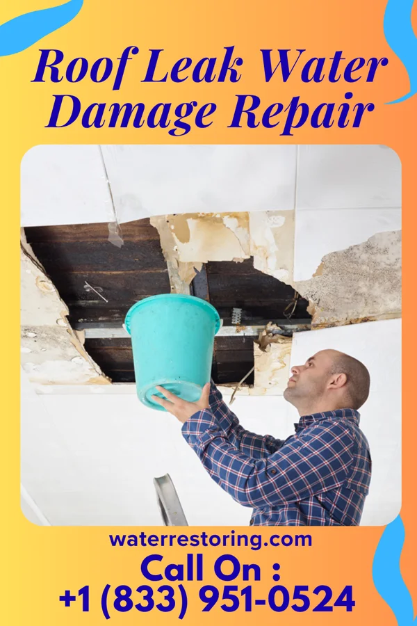 Roof Leak Water Damage Repair in South Oroville, CA